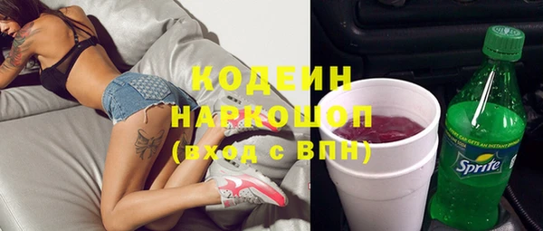 хмурый Абаза