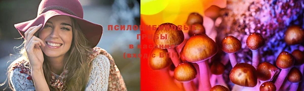 ALPHA PVP Семилуки